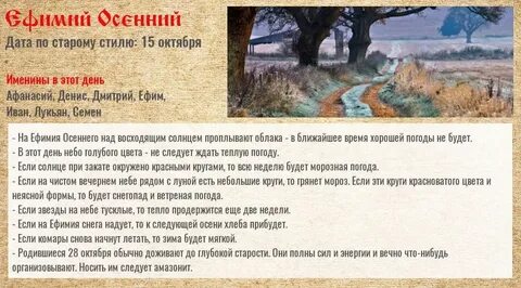 28 октября за какой день работаем