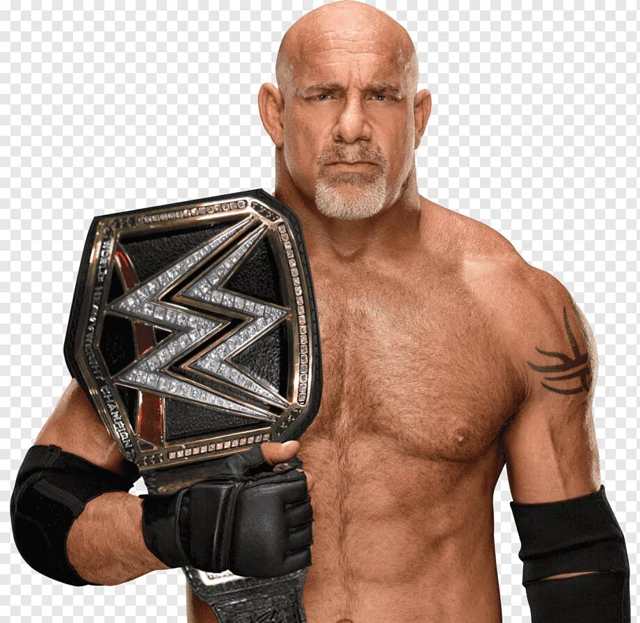 Билл Голдберг. Goldberg Рестлер. Билл Голдберг Рестлер. Голдберг WWE.