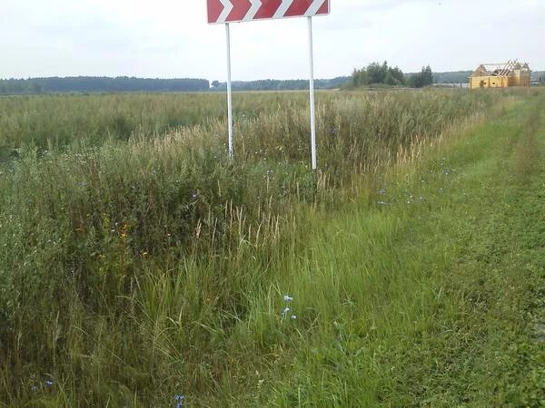 Земельные участки в коврова. Земельные участки в коврова. Участковые ковров. Микрорайон славный в коврове. Деревня вертягино владимирская обл.
