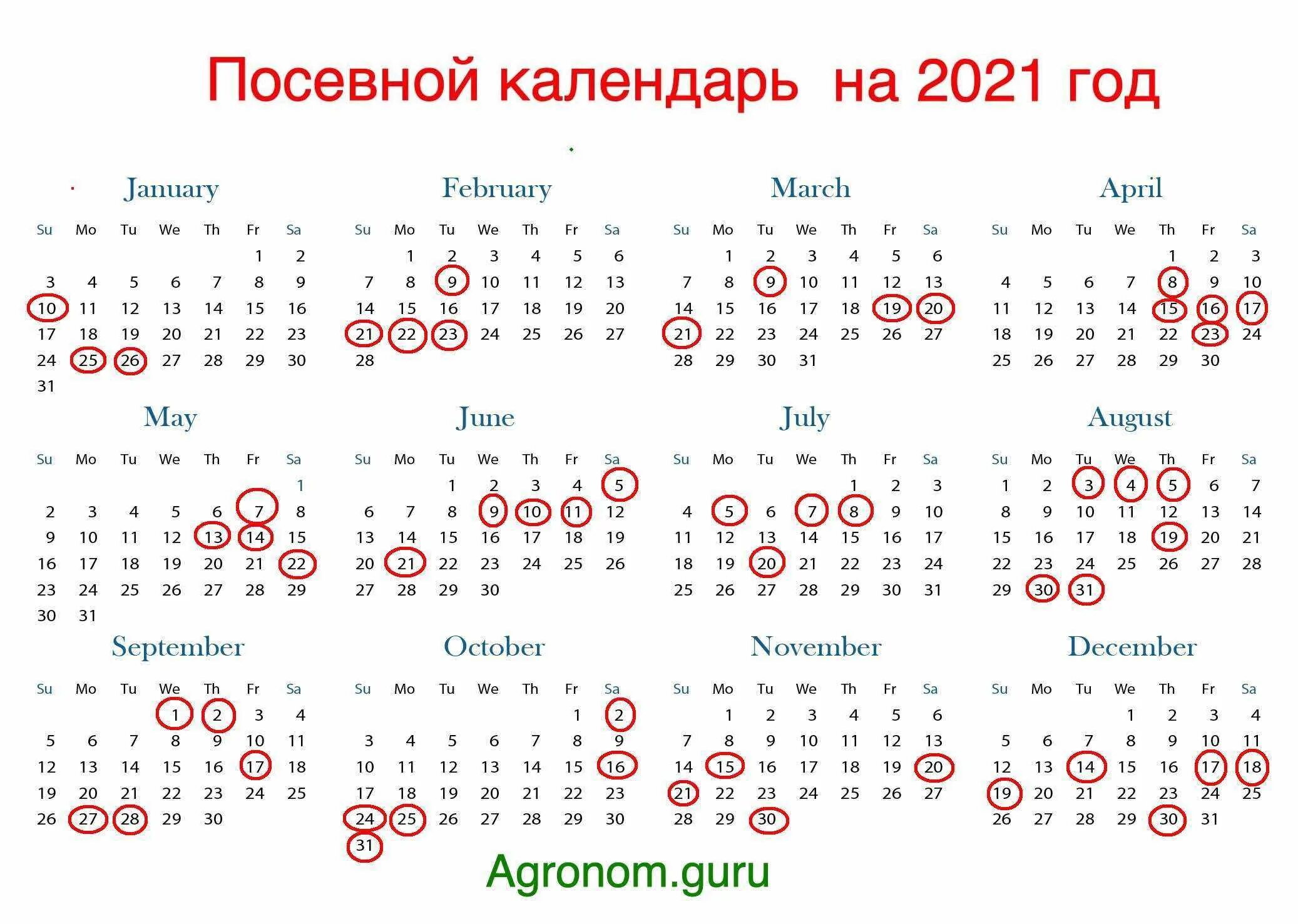 Календарь посева петунии в 2024 году. Посевной календарь. Календарь посева петунии. Лунный календарь для посадки петунии. Благоприятные дни для посадки петунии.