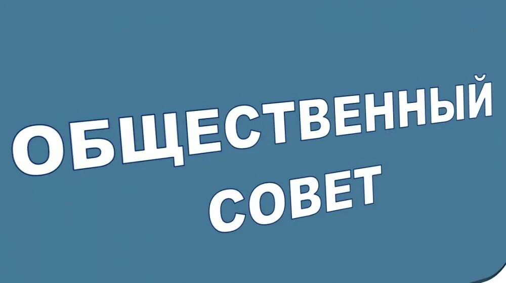 Значение общественного совета. Значение общественного совета
