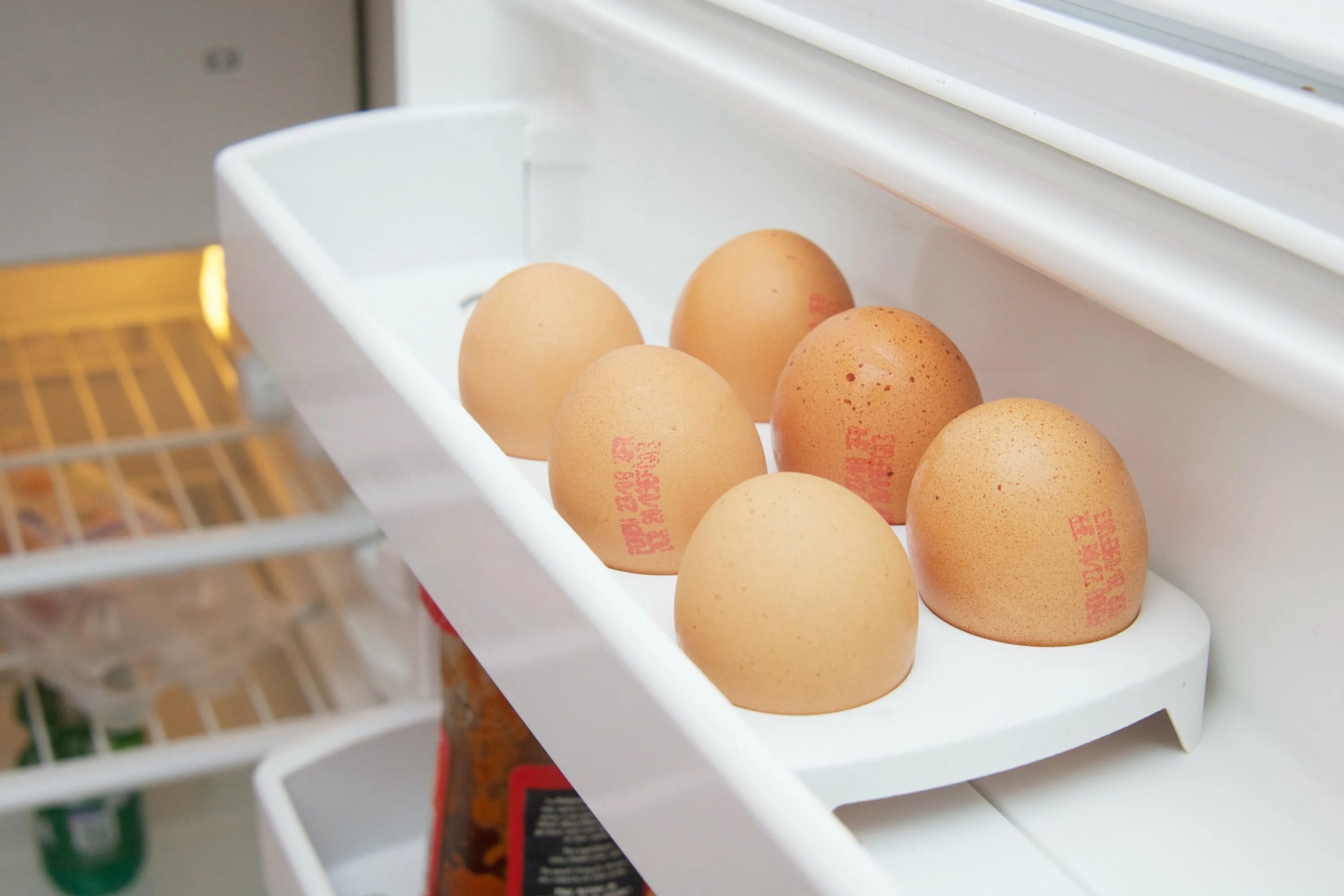 1 are there eggs in the fridge