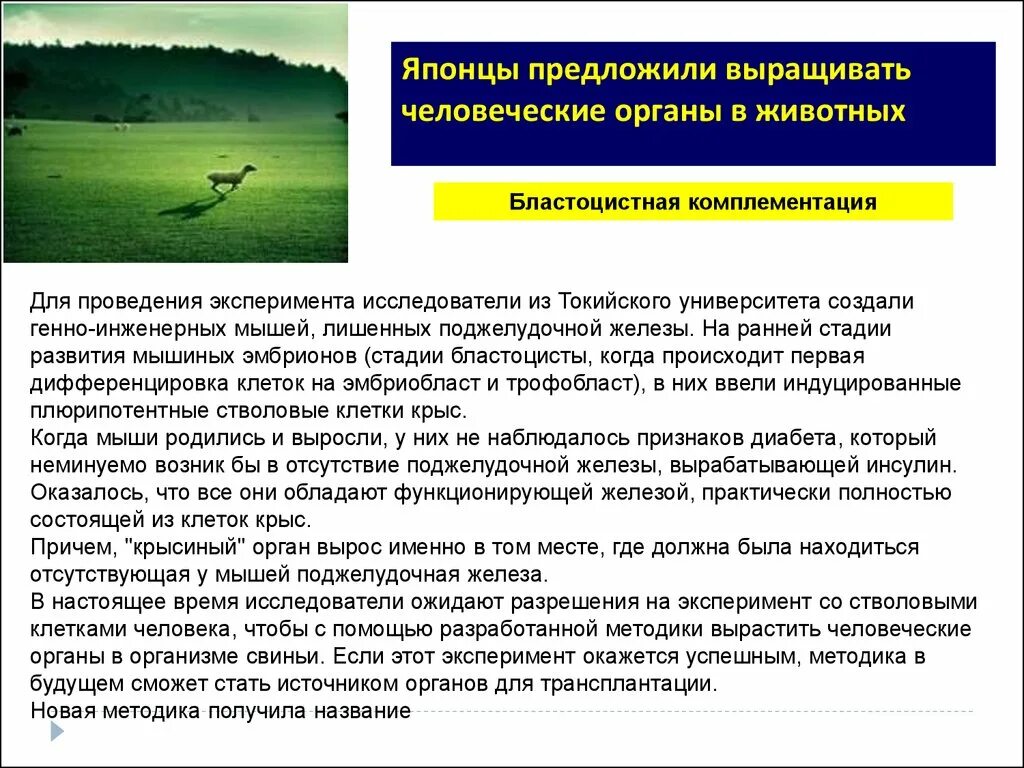 Комплементация это. Комплементация биология. Бластоцистная комплементация. Анализ комплементации. Комплиментация человечества.