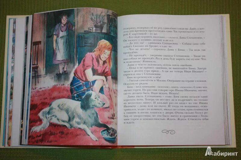 Читать книгу белый бим черное. Иллюстрации к книге троепольского белый бим черное ухо. белый бим черное ухо. повесть книга. издательство machaon книга белый бим чёрное ухо. белый бим черное ухо махаон.