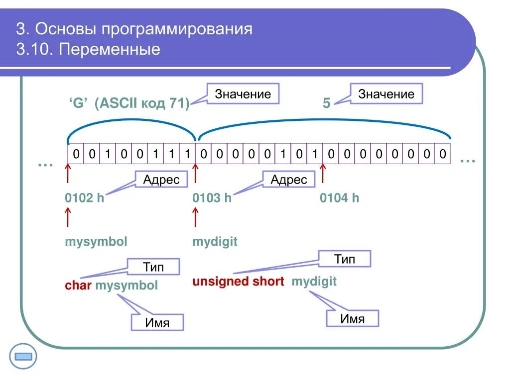 Префикс имени. Переменные в программировании. Переменная (программирование). Префикс в программировании это. Что такое переменная в программировании простыми словами.