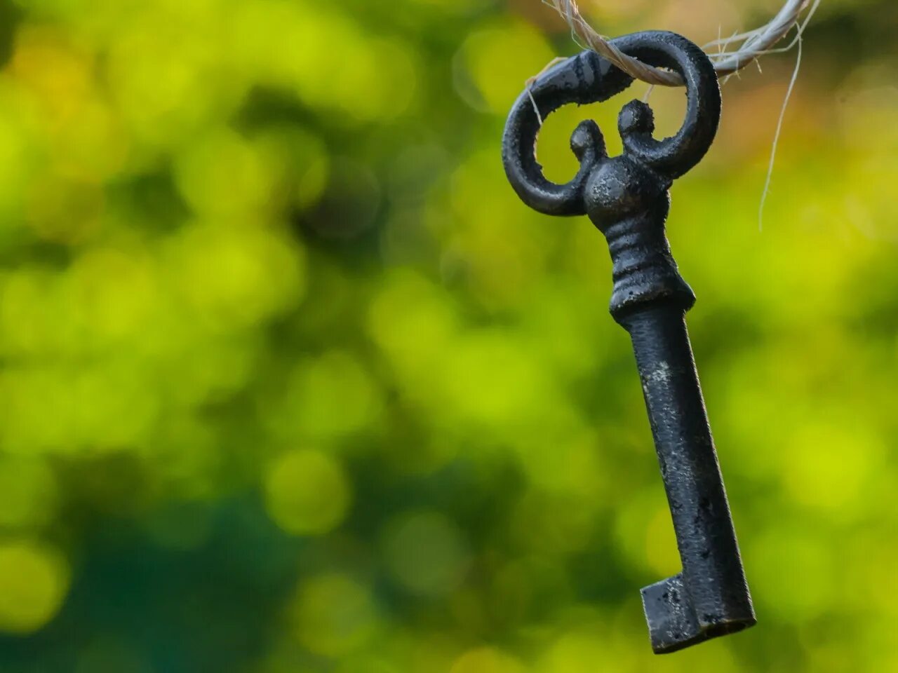 цитаты про верность и преданность.