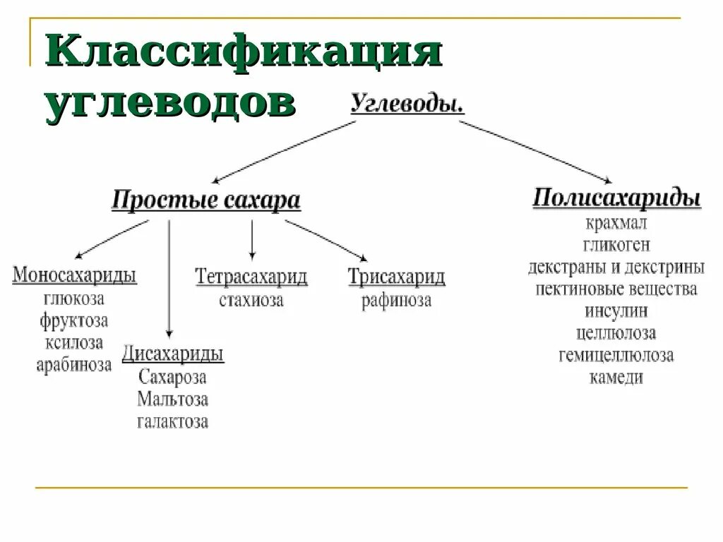 Биологические углеводы