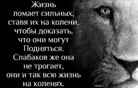 Ломать принципы