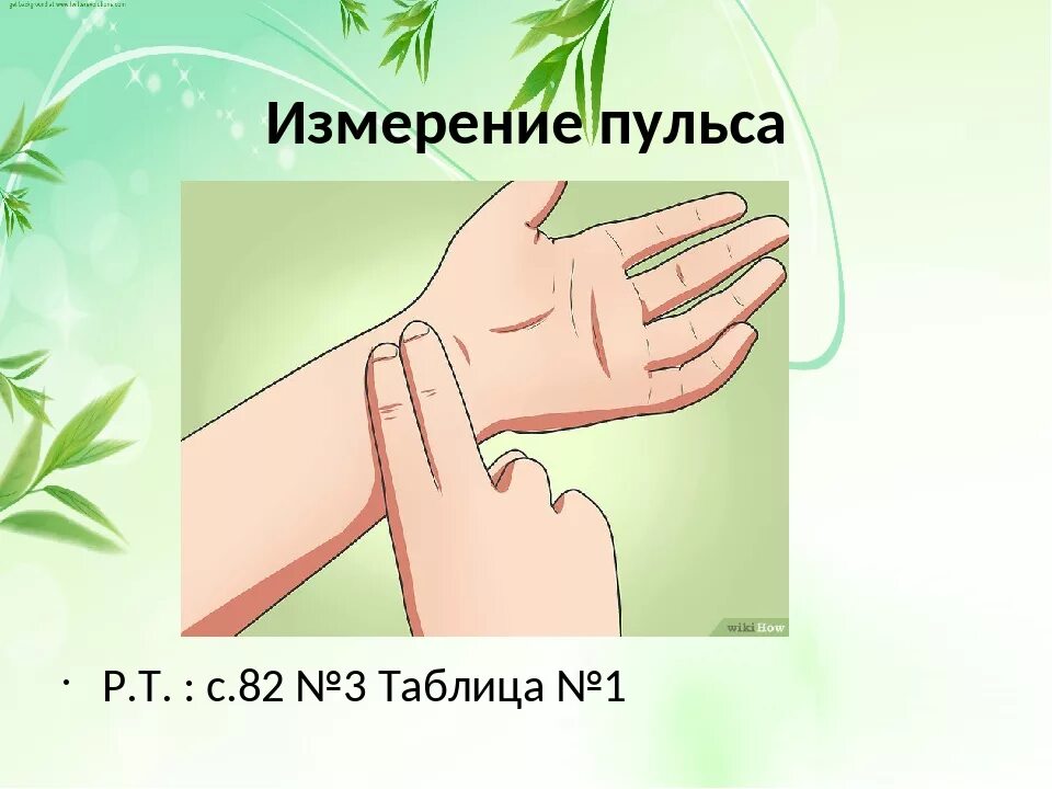 Практическая работа измерение пульса. Измерение пульса. мерить пульс. как измерить пульс. измерение пульса на запястье.