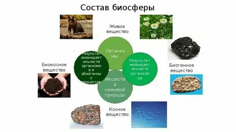 Вещества входящие в состав живых организмов схема