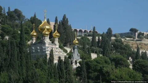 Горы иерусалима святые