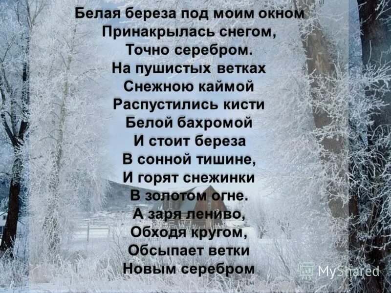 Стихи пушкина береза. Белая берёза стих. Стихотворение белая береза. Стихтворкеие белая берёза. Стих белая белая береза.