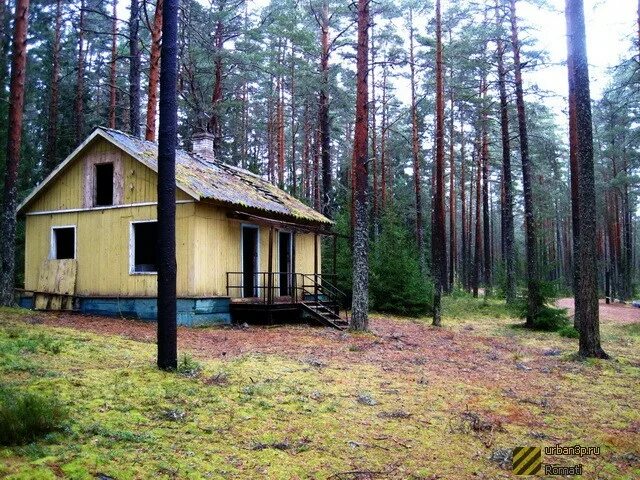 Лагерь Чайка Васкелово. Лагерь Чайка дол Васкелово. Пионерлагерь Чайка Васкелово. Дол Чайка Ленинградская область Васкелово.