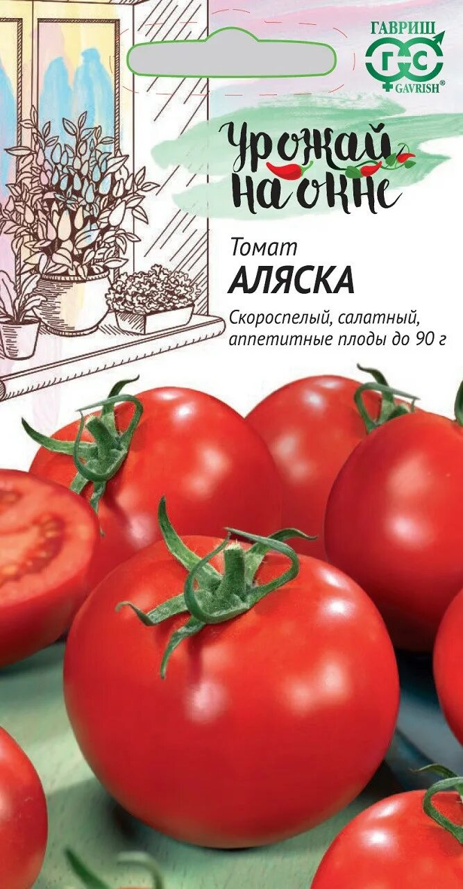 Томат Аляска Гавриш. Томат Аляска, урожай на окне. Томат Аляска урожай на окне Гавриш. Томат аляска описание