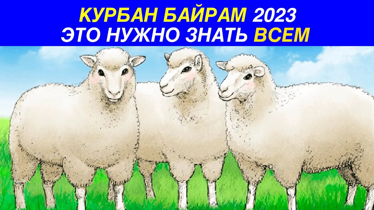 Курбан-байрам 2023. С праздником Курбан байрам 2023. ИД Курбан байрам 2023. Курбан-байрам 2023 хончалары.