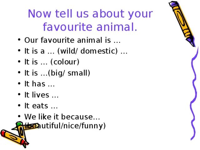 What is your favorite animal. My favourite animal 4 класс. What s your favourite animal. What is your favourite animal. Проект my favourite animal is a cat.