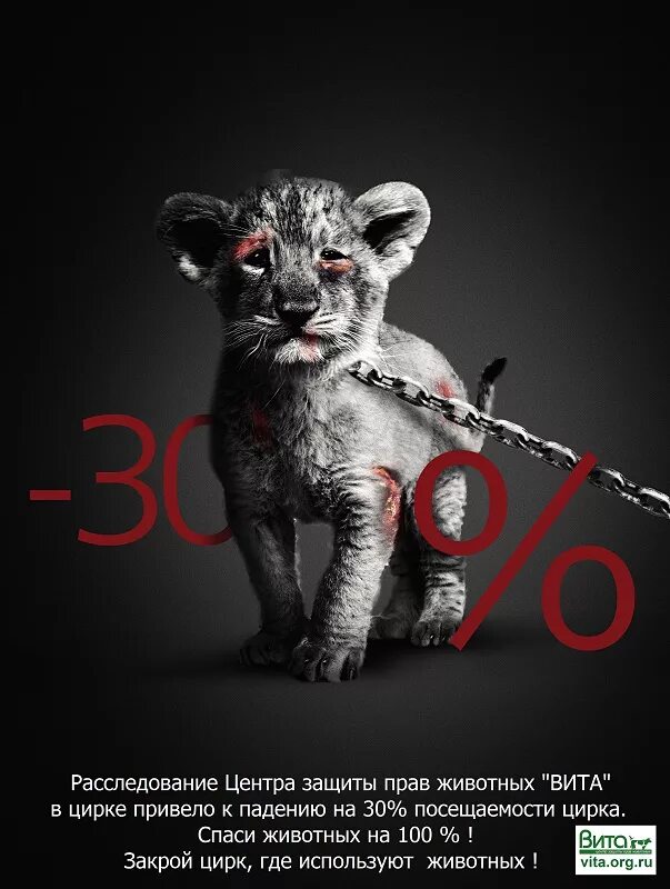 фон для презентации животные. улетные животные. животные в рекламе. без рекламы про животных. без рекламы про животных.