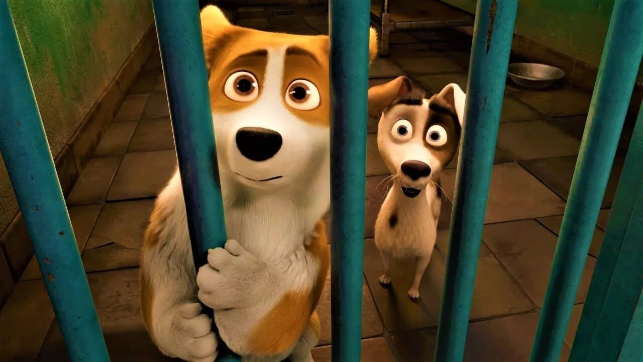 Мультфильм королевский корги елизавета 2. Королевский корги мультик рекс. Королевский корги фильм 2019. Королевский корги мультфильм. The queen corgi 2019.