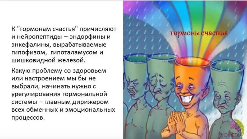 Мозг вырабатывает эндорфины. Гормоны счастья. эндорфины гормоны счастья. гормон счастья и удовольствия. эндорфин гормон радости.