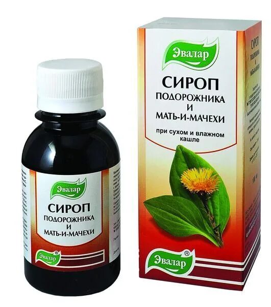 При сухом кашле можно применять. Сироп подорожника/мать-и-мачехи 100мл. Сироп от кашля подорожник и мать-и-мачеха. Сироп подорожника и мать-и-мачехи. Сироп подорожника и мать-и-мачехи Эвалар.