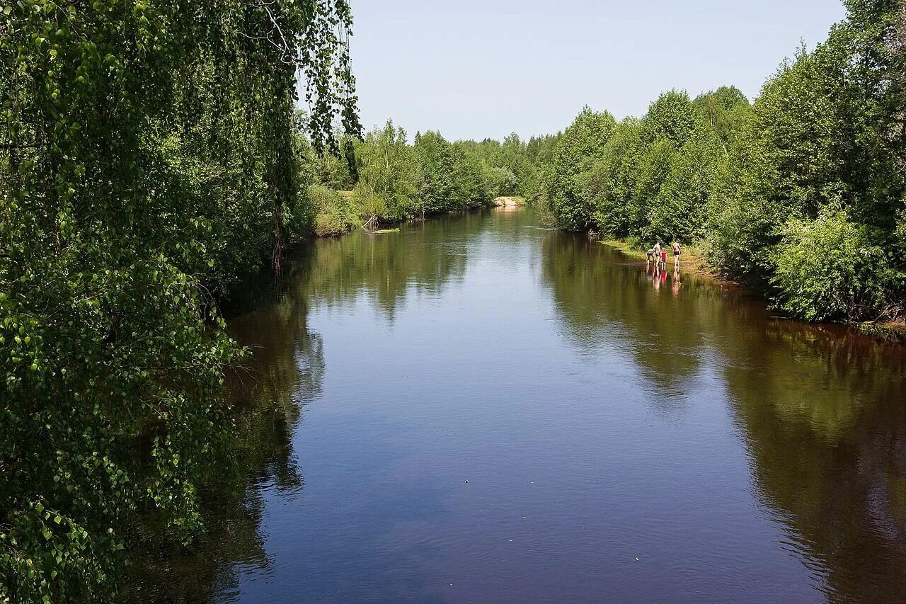 Какой крупнейший приток волги. Река Люнда Нижегородская область. Река Юг Нижегородская область.