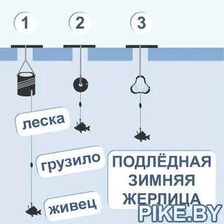 Как ставить жерлицы на щуку зимой
