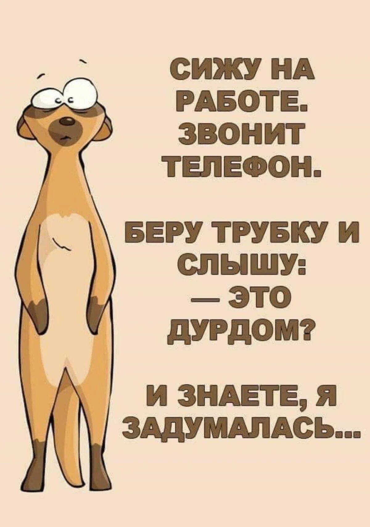 Позвони не возьму трубку. Юмор про работу. Прикольные высказывания про работу. Весёлые картинки прикольные. Веселые высказывания.