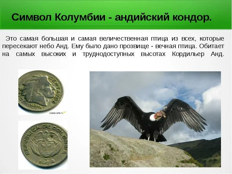 Какой зверь является символом