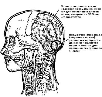 Черепная жидкость