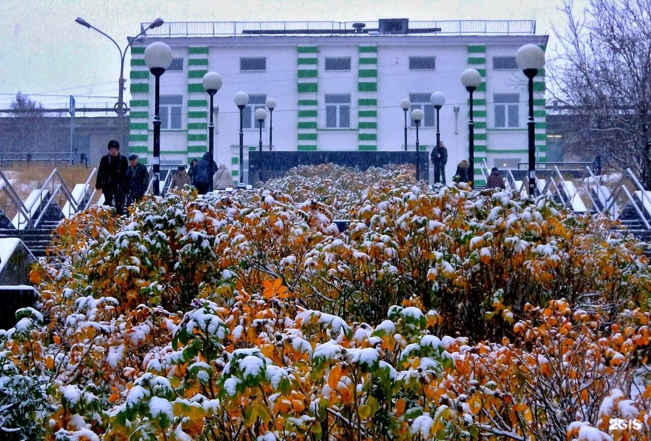 Школа 1 Мурманск Буркова. СОШ 31 Мурманск. Школа номер 1 Мурманск. Лестница к школе 1 Мурманск.