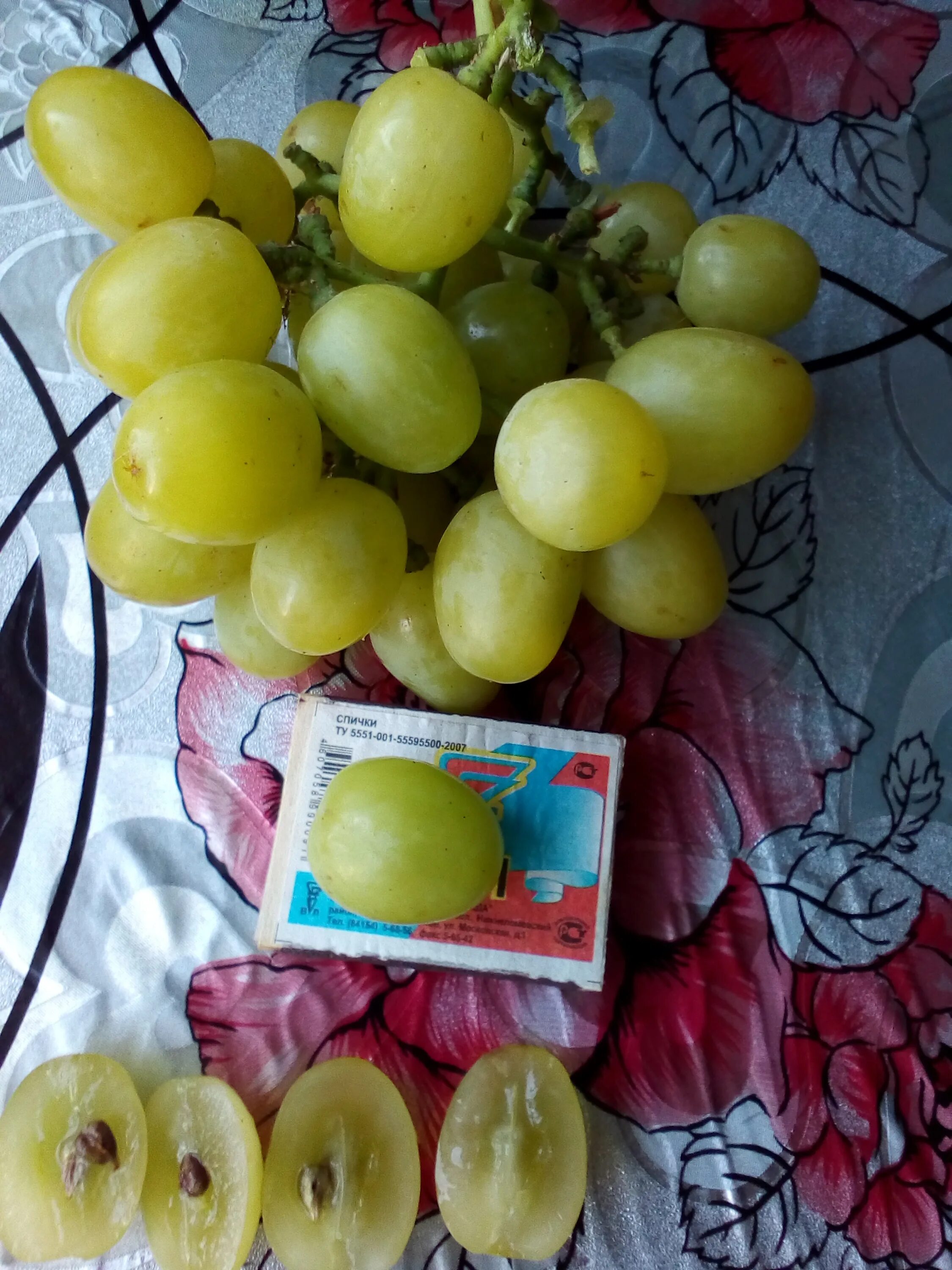 Виноград сорт находка. Виноград магарач сибирь. Сорт винограда находка. Сорт винограда зоренька (баранов). Виноград дальневосточный новикова.