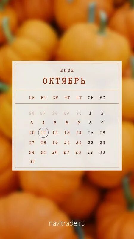 Навитрейд. Навитрейд