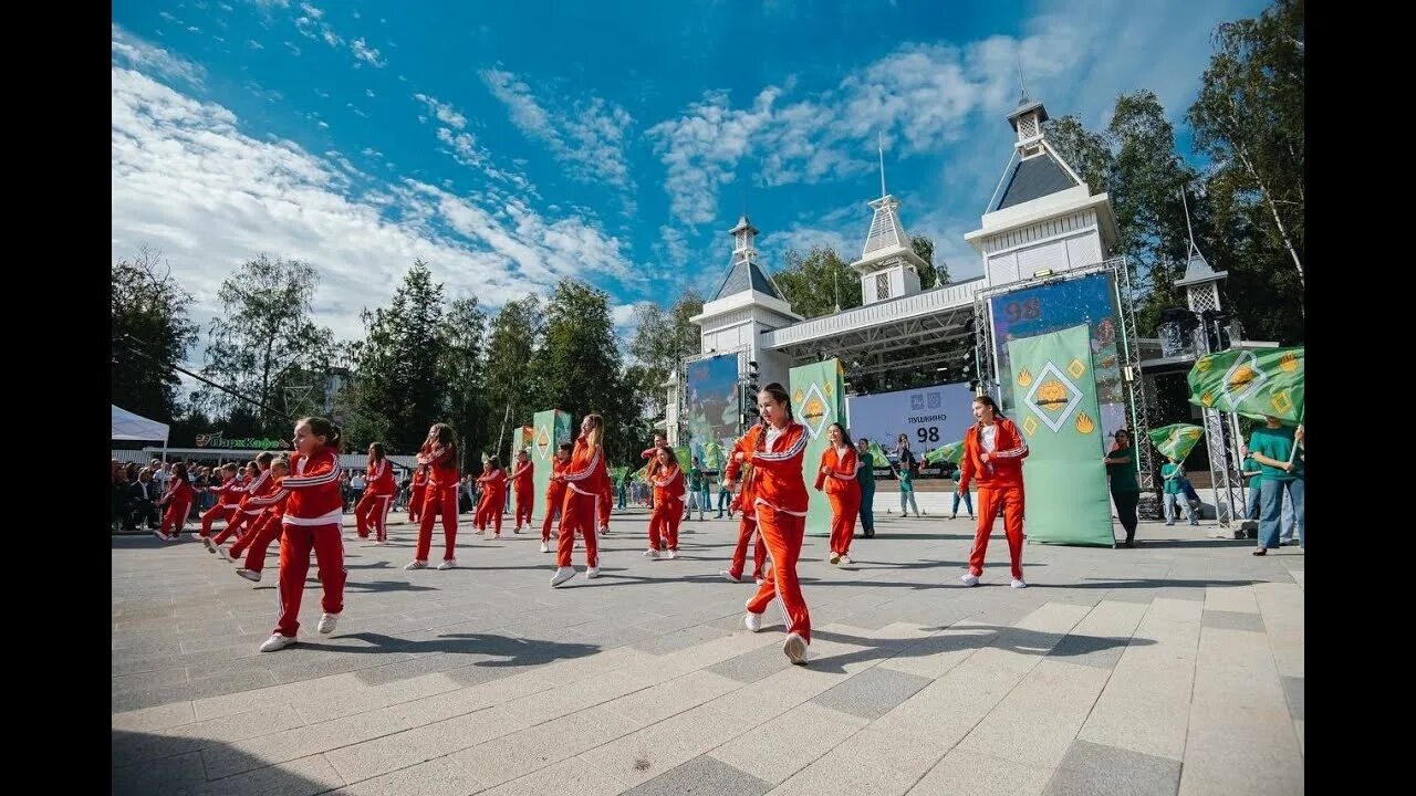 Город пушкино день города. Афиша день города. День города пушкино московской. Город пушкино салют. День города в пушкине.