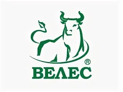Общество велес