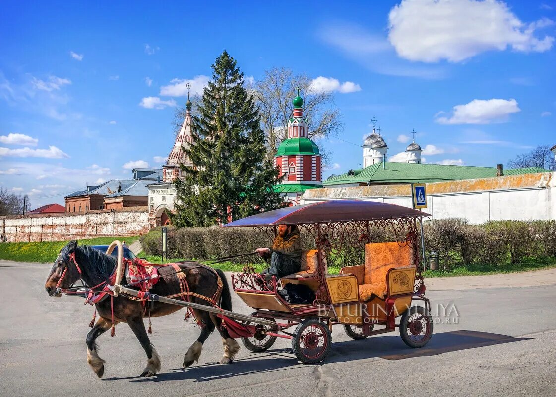 юлие телега