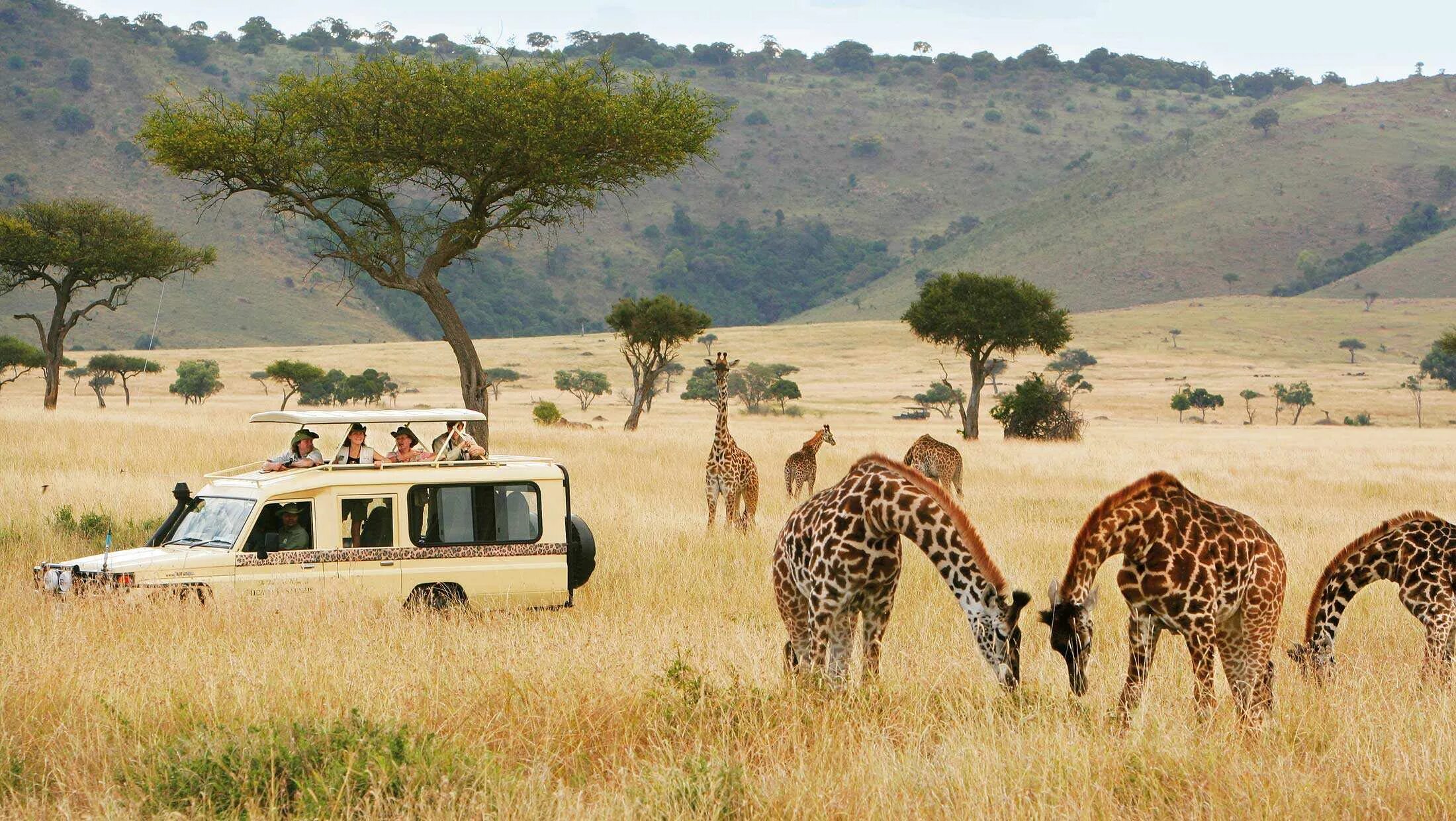 Trip africa. Серенгети Танзания. Кения сафари. Сафари парк Африка. Кения сафари парк.