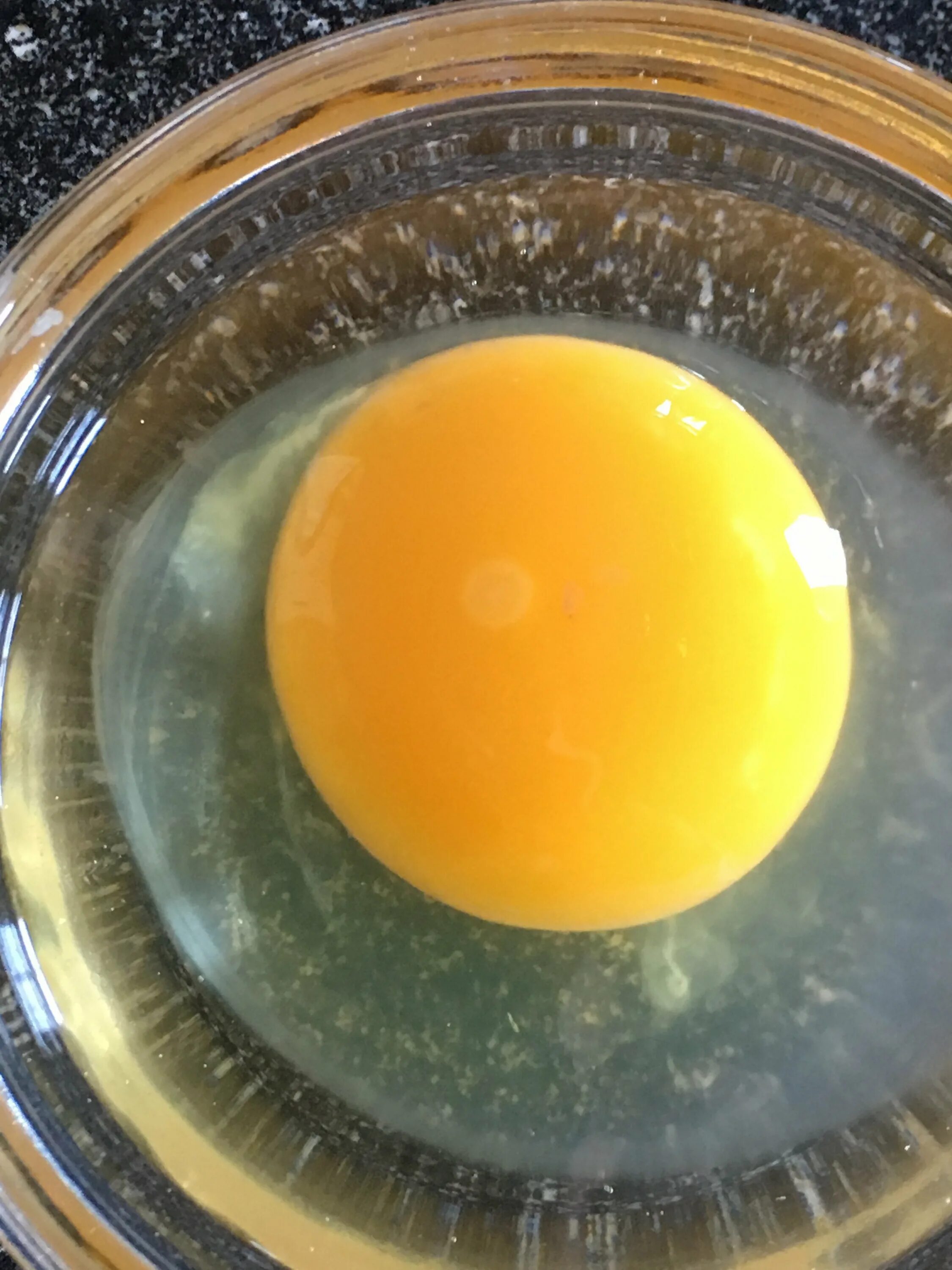 Оплодотворенное ли яйцо. Оплодотворенное куриное яйцо. Оплодотворенное яйцо курицы. Неоплодотворённое яйцо страуса –. Неоплодотворенные куриные яйца.
