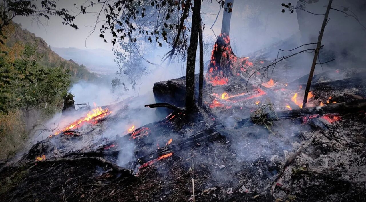 Near the fire. Горное ущелье Магнитогорск пожар. Лесные пожары в Кемере. Горное ущелье Магнитогорск после пожара. Пожар в лесу Абзелиловский район.