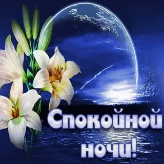 Спокойной ночи картинки красивые необычные с цветами