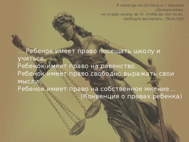 Я готов отдать свою жизнь. Я отдам жизнь за ваше право его высказать. Вольтер я готов отдать жизнь за ваше право. Я не согласен с вашими убеждениями но готов отдать жизнь за ваше. Я готов отдать жизнь за ваше право его высказать.