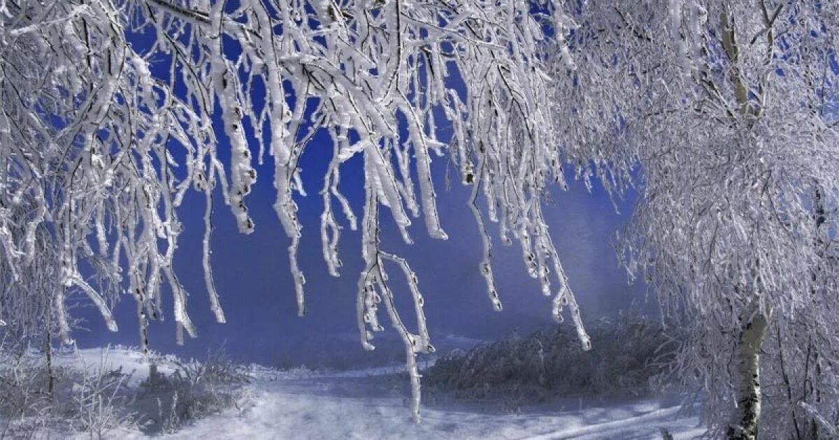 на дворе зима стоят сильные морозы. земля покрыта снегом как. зимнее утро. морозная зима. красота природы зимой.