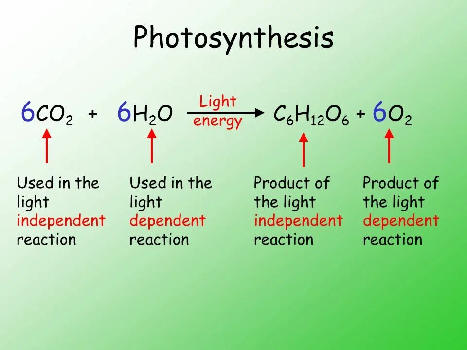 Co2 h2o фотосинтез. Photosynthesis Reaction. 6co2 6h2o 6o2 название процесса. 6co2+6h2o c6h12o6+6o2. Co2 h2o c6h12o6.