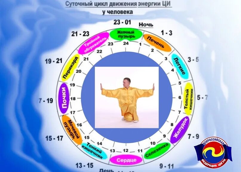 Суточный биологический ритм человека. Биоритмы в природе. Суточные ритмы растений и животных. Биоритмы человека презентация. Суточные ритмы животных примеры.