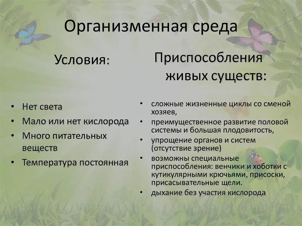 Организменная среда обитания характеризуется обилием. Организменная среда обитания условия среды. Организменная среда обитания приспособления организмов. Приспособление животных к организменной среде обитания. Приспособление растений к организменной среде обитания.