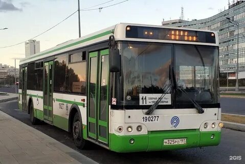 11 автобус телефон
