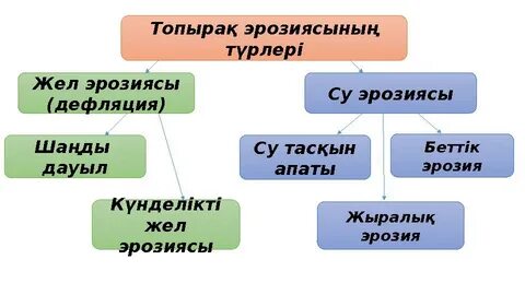 Адам мен жыныстың қызыл векторы