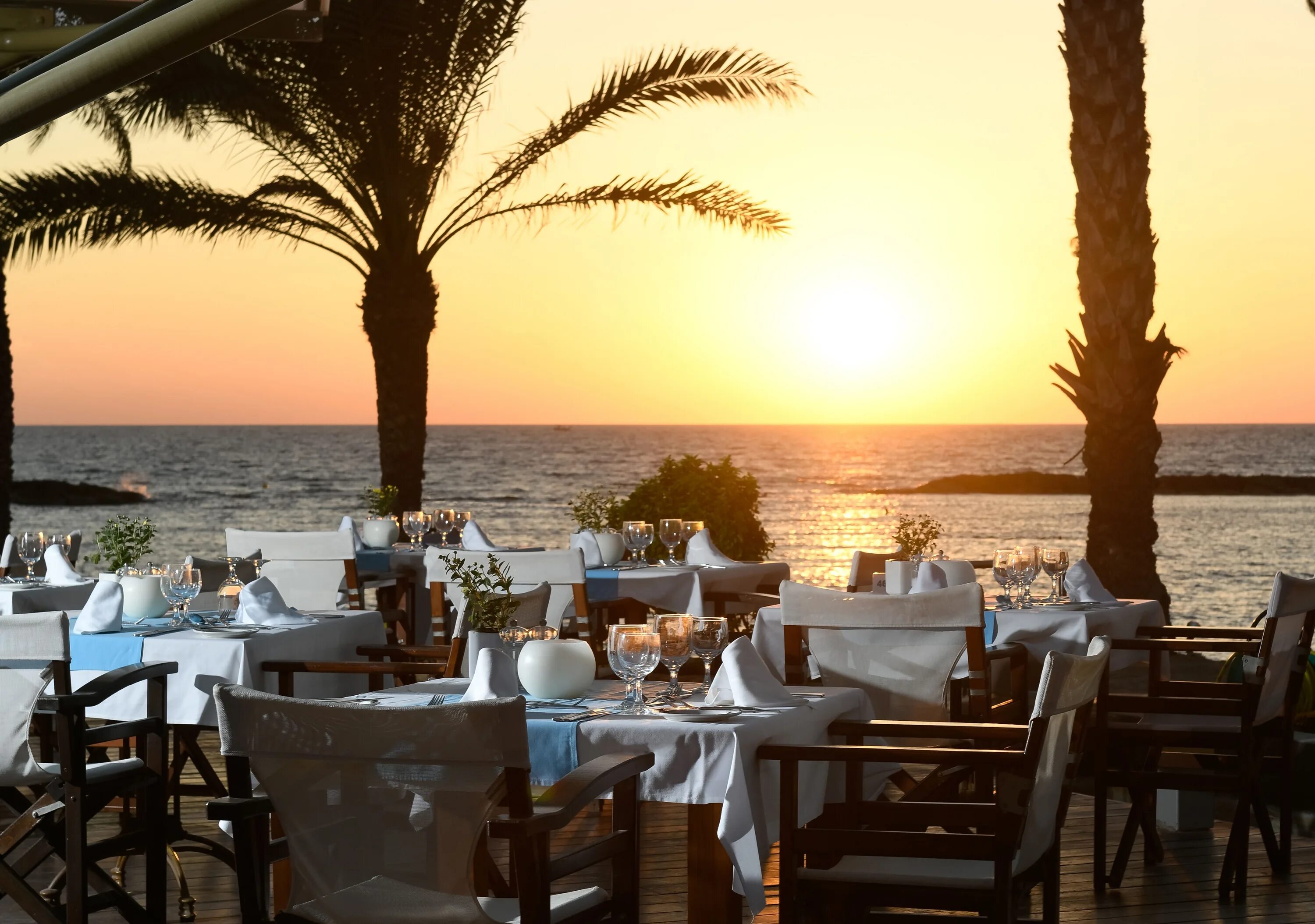 Lordos Beach 4*. Гостиница Pioneer на Кипре город Пафос ресторан. Отеля пафоса лучший.