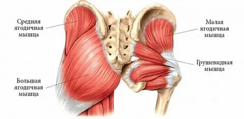 Тендинит сухожилий ягодичных мышц - Как лечить?