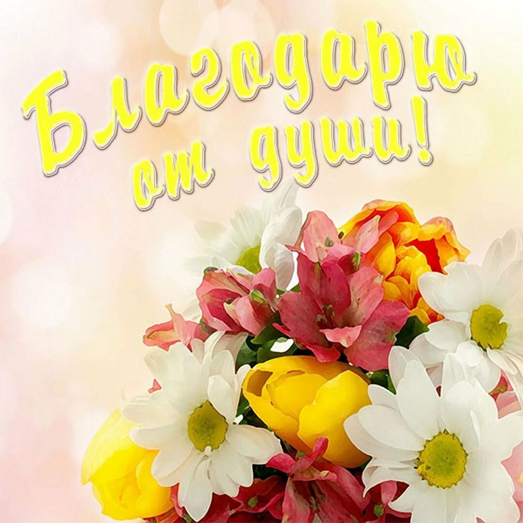 Доброе утро взрослой дочери. Доброе утро доченька. с добрым уьречком доченька. сдобрым утром дочеьнка. открытки с добрым утром доченька.