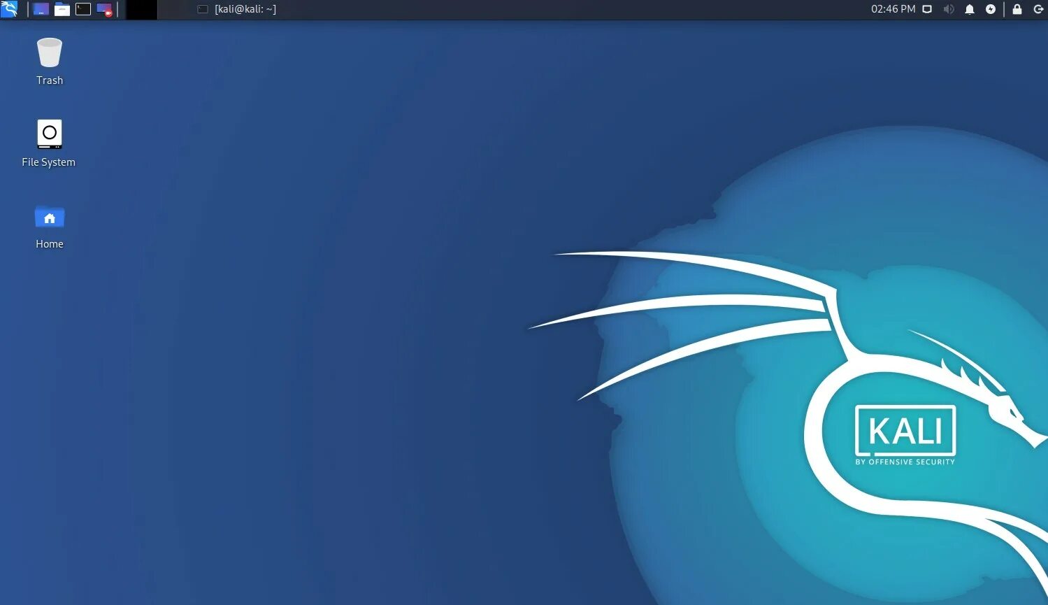 Kali linux интерфейс. Кали линукс 2025. kali linux 2025.2. kali linux 2025.1. kali linux рабочий стол.